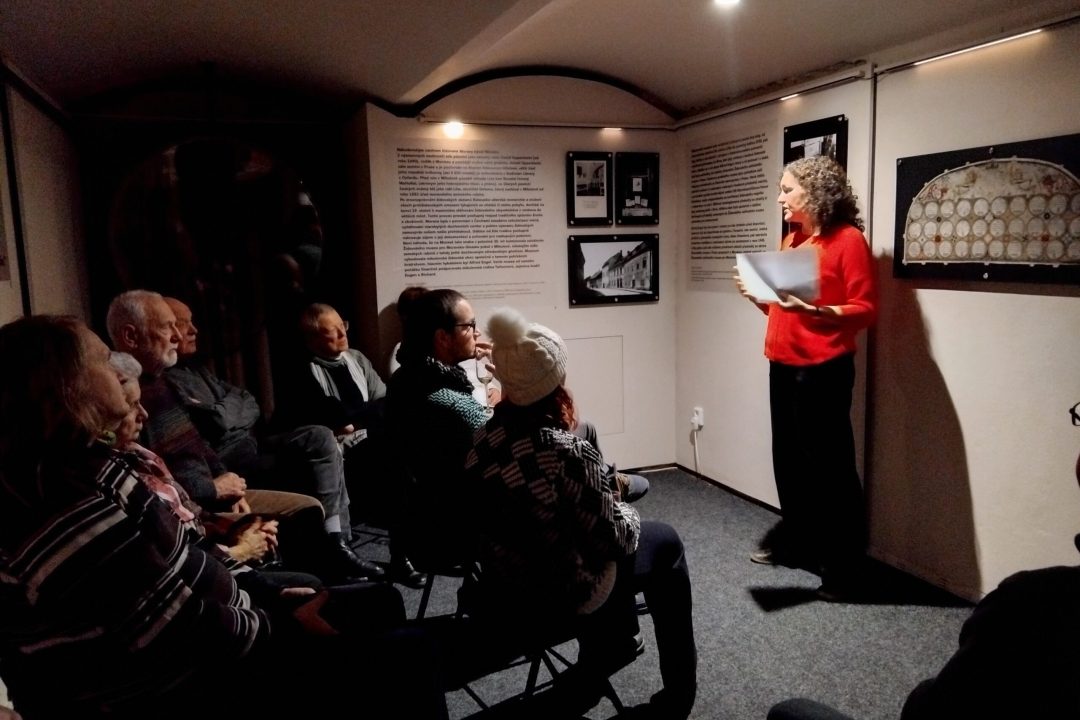 Komentovaná prohlídka s Evou Kopečkovou