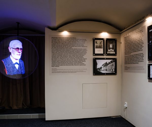 Komentovaná prohlídka stálé expozice v Malém Mehrinu